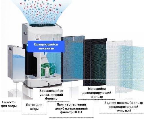 Очищение производится в несколько этапов