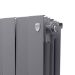 Royal Thermo PianoForte 500 Silver Satin 4 секций радиатор
