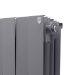 Royal Thermo PianoForte 300 Silver Satin 8 секций радиатор