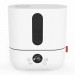 Boneco U250 ультразвуковой увлажнитель воздуха