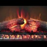 Очаг Royal Flame Vision 23 EF LED FX